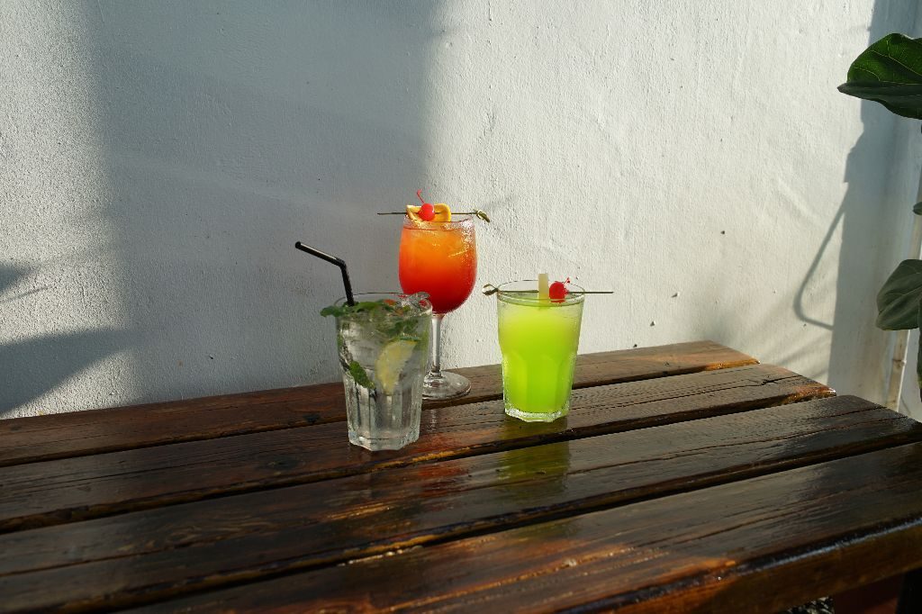 Roof Garden slides (8)